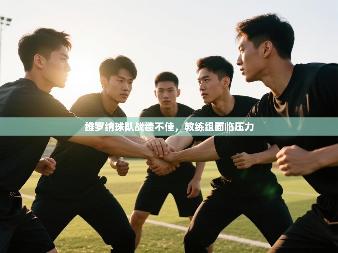 维罗纳球队战绩不佳，教练组面临压力  第2张