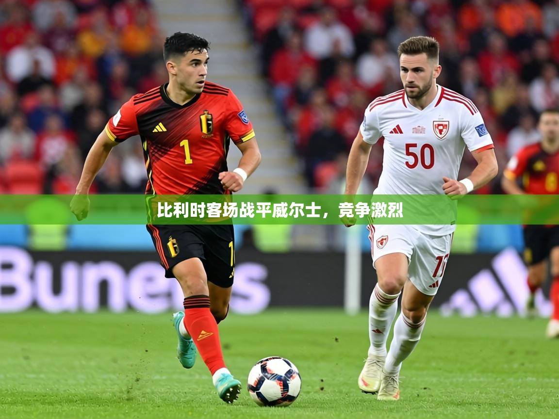 比利时客场战平威尔士，竞争激烈